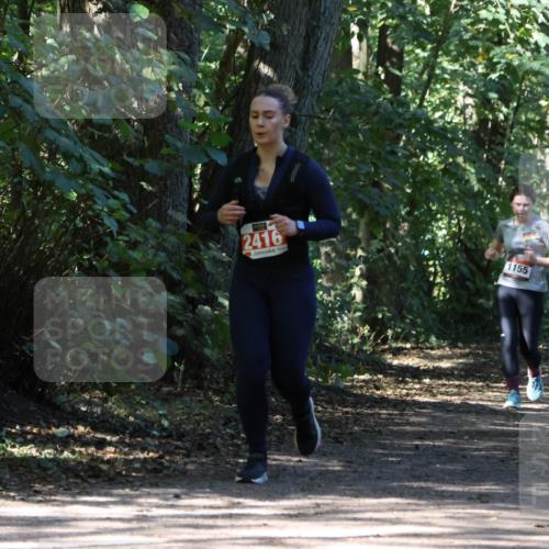 28.09.2025 - 33. Volkslauf durch das schöne Alstertal Strokosch-Dieckow http://msf.ph/oto/8972231 28.09.2025 12:32:10 Laufen 2416, 1155 meine-sportfotos.de