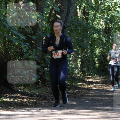 28.09.2025 - 33. Volkslauf durch das schöne Alstertal Strokosch-Dieckow http://msf.ph/oto/8972232 28.09.2025 12:32:10 Laufen 2416, 1155 meine-sportfotos.de