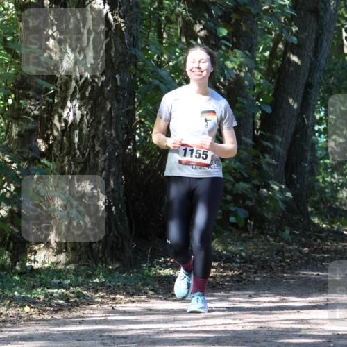 28.09.2025 - 33. Volkslauf durch das schöne Alstertal Strokosch-Dieckow http://msf.ph/oto/8972241 28.09.2025 12:32:20 Laufen 1155 meine-sportfotos.de