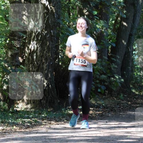 28.09.2025 - 33. Volkslauf durch das schöne Alstertal Strokosch-Dieckow http://msf.ph/oto/8972242 28.09.2025 12:32:20 Laufen 1155 meine-sportfotos.de
