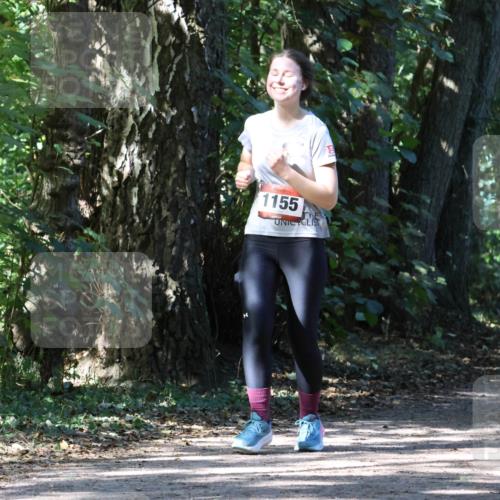 28.09.2025 - 33. Volkslauf durch das schöne Alstertal Strokosch-Dieckow http://msf.ph/oto/8972243 28.09.2025 12:32:20 Laufen 1155 meine-sportfotos.de
