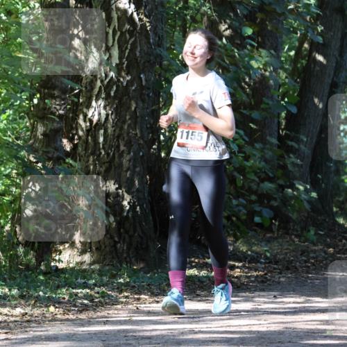 28.09.2025 - 33. Volkslauf durch das schöne Alstertal Strokosch-Dieckow http://msf.ph/oto/8972245 28.09.2025 12:32:20 Laufen 1155 meine-sportfotos.de