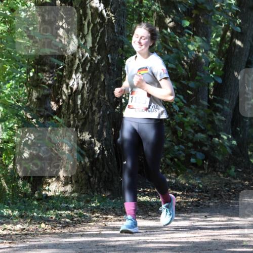 28.09.2025 - 33. Volkslauf durch das schöne Alstertal Strokosch-Dieckow http://msf.ph/oto/8972246 28.09.2025 12:32:20 Laufen 1155 meine-sportfotos.de