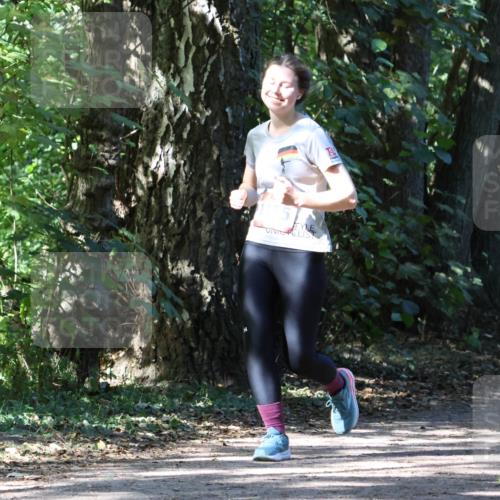 28.09.2025 - 33. Volkslauf durch das schöne Alstertal Strokosch-Dieckow http://msf.ph/oto/8972247 28.09.2025 12:32:21 Laufen  meine-sportfotos.de