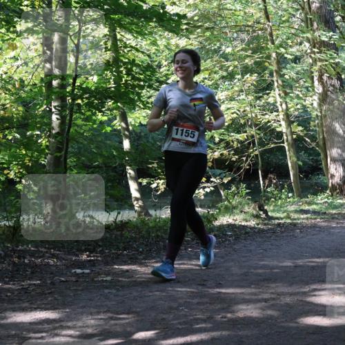 28.09.2025 - 33. Volkslauf durch das schöne Alstertal Strokosch-Dieckow http://msf.ph/oto/8972248 28.09.2025 12:32:26 Laufen 1155 meine-sportfotos.de