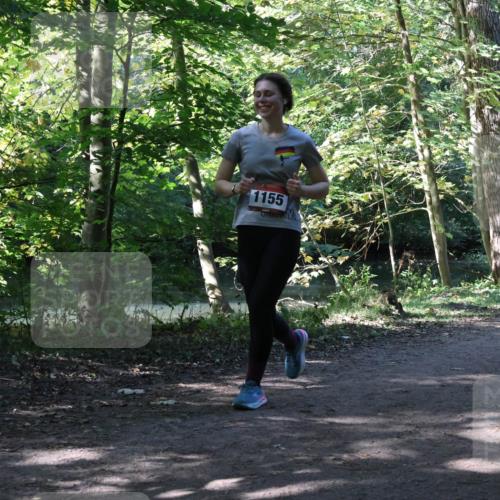 28.09.2025 - 33. Volkslauf durch das schöne Alstertal Strokosch-Dieckow http://msf.ph/oto/8972249 28.09.2025 12:32:26 Laufen 1155 meine-sportfotos.de