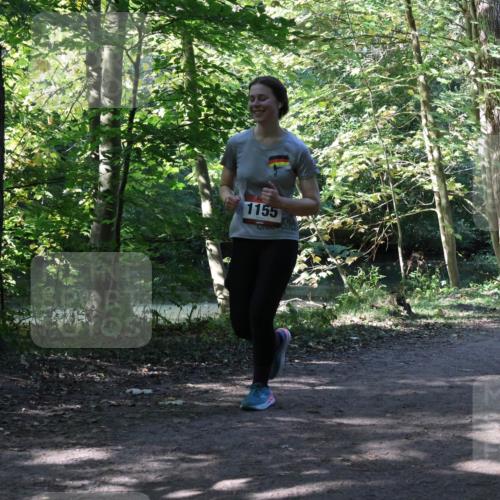 28.09.2025 - 33. Volkslauf durch das schöne Alstertal Strokosch-Dieckow http://msf.ph/oto/8972250 28.09.2025 12:32:26 Laufen 1155 meine-sportfotos.de