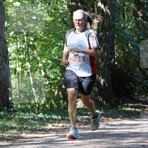 28.09.2025 - 33. Volkslauf durch das schöne Alstertal Strokosch-Dieckow http://msf.ph/oto/8972252 28.09.2025 12:32:30 Laufen 2566 meine-sportfotos.de