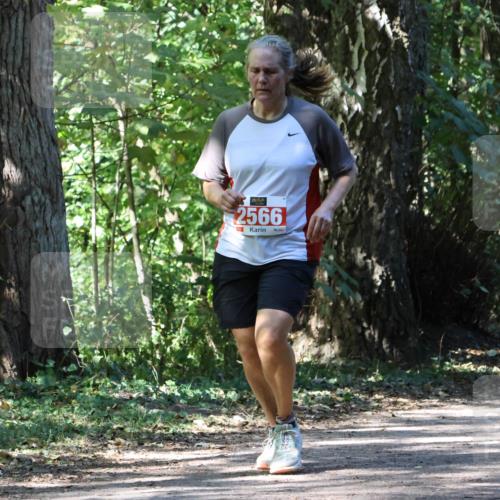 28.09.2025 - 33. Volkslauf durch das schöne Alstertal Strokosch-Dieckow http://msf.ph/oto/8972255 28.09.2025 12:32:30 Laufen 2566 meine-sportfotos.de