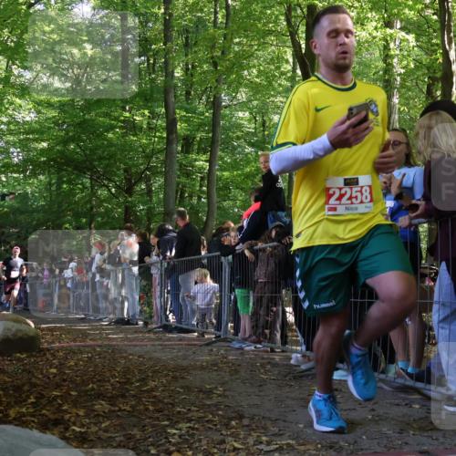 28.09.2025 - 33. Volkslauf durch das schöne Alstertal Strokosch-Dieckow http://msf.ph/oto/8972256 28.09.2025 11:54:58 Ziel 2161, 2258, 2406 meine-sportfotos.de