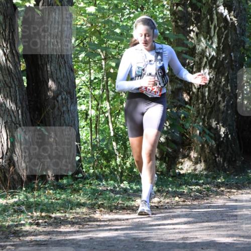 28.09.2025 - 33. Volkslauf durch das schöne Alstertal Strokosch-Dieckow http://msf.ph/oto/8972258 28.09.2025 12:32:33 Laufen 625 meine-sportfotos.de