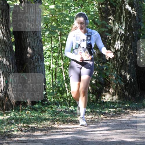 28.09.2025 - 33. Volkslauf durch das schöne Alstertal Strokosch-Dieckow http://msf.ph/oto/8972259 28.09.2025 12:32:33 Laufen  meine-sportfotos.de