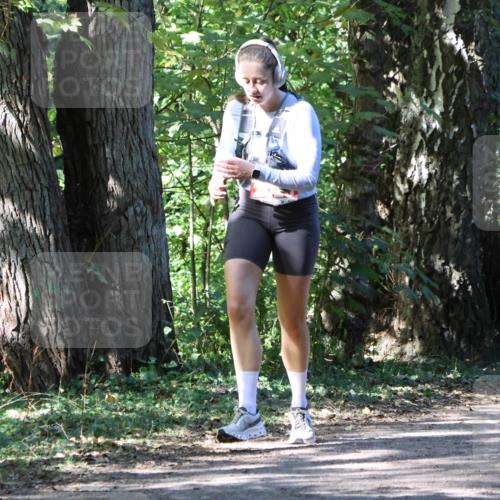 28.09.2025 - 33. Volkslauf durch das schöne Alstertal Strokosch-Dieckow http://msf.ph/oto/8972262 28.09.2025 12:32:33 Laufen  meine-sportfotos.de