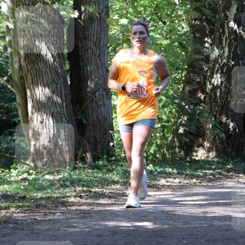 28.09.2025 - 33. Volkslauf durch das schöne Alstertal Strokosch-Dieckow http://msf.ph/oto/8972263 28.09.2025 12:32:38 Laufen  meine-sportfotos.de