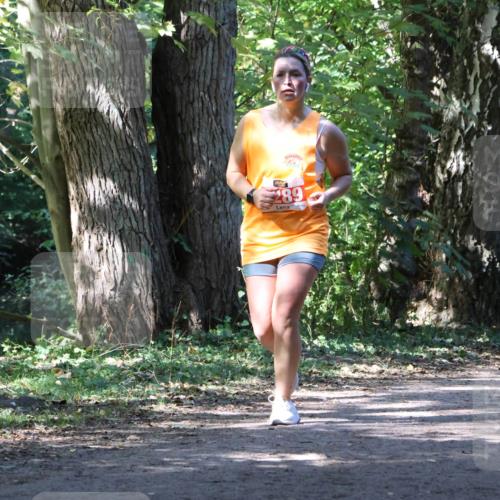 28.09.2025 - 33. Volkslauf durch das schöne Alstertal Strokosch-Dieckow http://msf.ph/oto/8972264 28.09.2025 12:32:38 Laufen 289 meine-sportfotos.de
