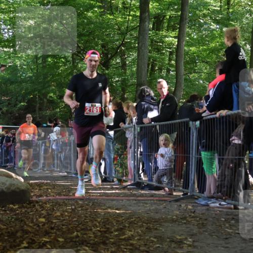 28.09.2025 - 33. Volkslauf durch das schöne Alstertal Strokosch-Dieckow http://msf.ph/oto/8972268 28.09.2025 11:55:01 Ziel 1647, 2161, 2406 meine-sportfotos.de
