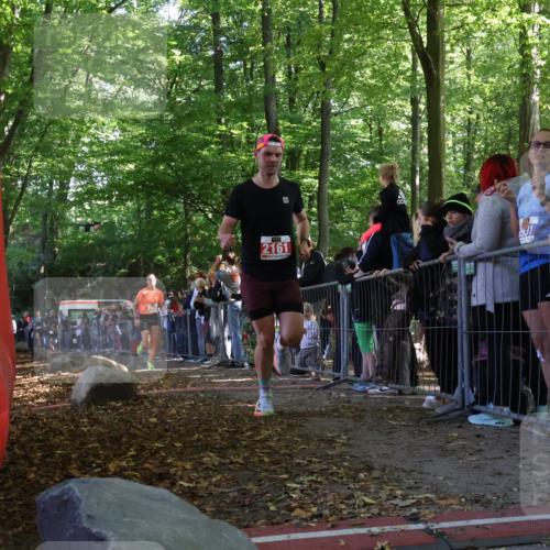 28.09.2025 - 33. Volkslauf durch das schöne Alstertal Strokosch-Dieckow http://msf.ph/oto/8972269 28.09.2025 11:55:02 Ziel 1119, 1647, 2161, 2406 meine-sportfotos.de