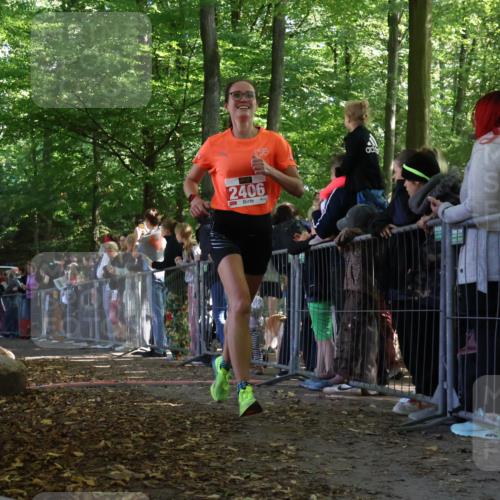 28.09.2025 - 33. Volkslauf durch das schöne Alstertal Strokosch-Dieckow http://msf.ph/oto/8972272 28.09.2025 11:55:04 Ziel 1119, 1609, 1647, 2406 meine-sportfotos.de