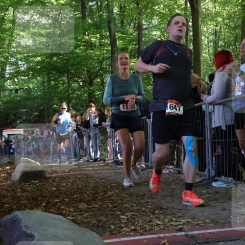 28.09.2025 - 33. Volkslauf durch das schöne Alstertal Strokosch-Dieckow http://msf.ph/oto/8972278 28.09.2025 11:55:11 Ziel 1119, 1609, 1647, 1741 meine-sportfotos.de