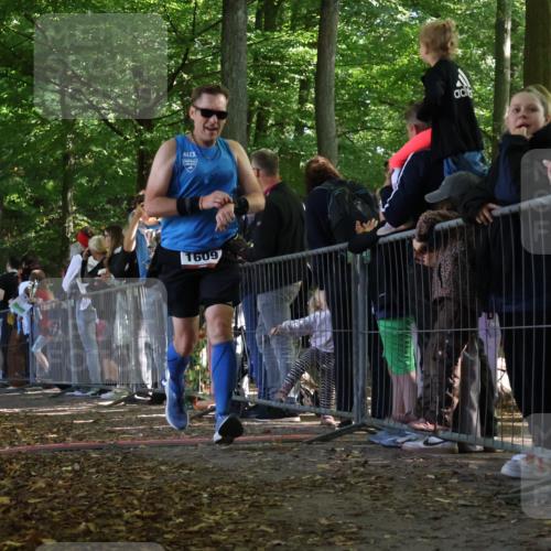 28.09.2025 - 33. Volkslauf durch das schöne Alstertal Strokosch-Dieckow http://msf.ph/oto/8972280 28.09.2025 11:55:12 Ziel 1119, 1609, 1741 meine-sportfotos.de