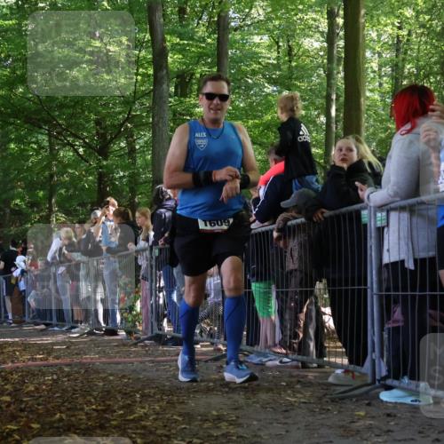 28.09.2025 - 33. Volkslauf durch das schöne Alstertal Strokosch-Dieckow http://msf.ph/oto/8972281 28.09.2025 11:55:13 Ziel 1609, 1741 meine-sportfotos.de