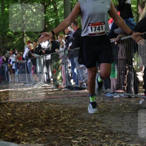 28.09.2025 - 33. Volkslauf durch das schöne Alstertal Strokosch-Dieckow http://msf.ph/oto/8972285 28.09.2025 11:55:20 Ziel 1741 meine-sportfotos.de