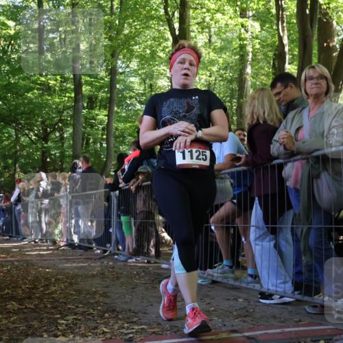 28.09.2025 - 33. Volkslauf durch das schöne Alstertal Strokosch-Dieckow http://msf.ph/oto/8972296 28.09.2025 11:55:38 Ziel 1125, 1799 meine-sportfotos.de