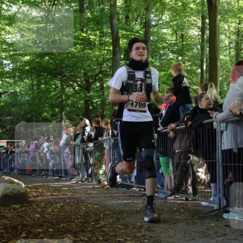 28.09.2025 - 33. Volkslauf durch das schöne Alstertal Strokosch-Dieckow http://msf.ph/oto/8972299 28.09.2025 11:55:41 Ziel 1608, 1799 meine-sportfotos.de