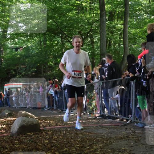 28.09.2025 - 33. Volkslauf durch das schöne Alstertal Strokosch-Dieckow http://msf.ph/oto/8972307 28.09.2025 11:55:51 Ziel 1626, 2348 meine-sportfotos.de