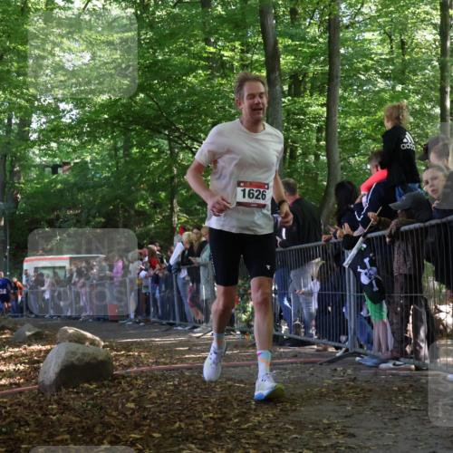 28.09.2025 - 33. Volkslauf durch das schöne Alstertal Strokosch-Dieckow http://msf.ph/oto/8972308 28.09.2025 11:55:51 Ziel 1626, 2348 meine-sportfotos.de