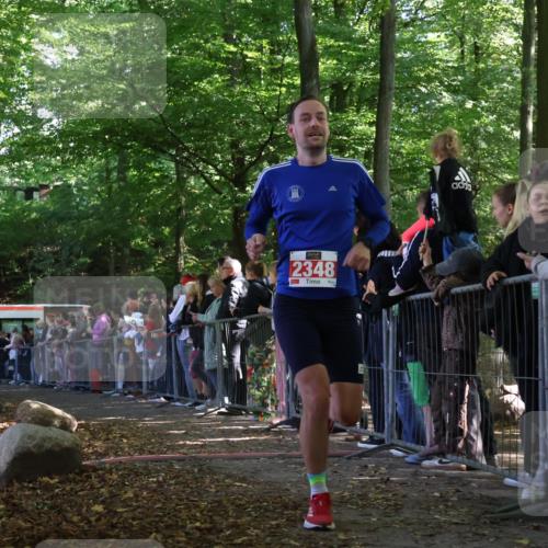 28.09.2025 - 33. Volkslauf durch das schöne Alstertal Strokosch-Dieckow http://msf.ph/oto/8972317 28.09.2025 11:55:58 Ziel 1612, 1639, 2348 meine-sportfotos.de