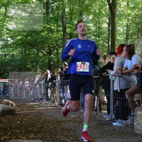 28.09.2025 - 33. Volkslauf durch das schöne Alstertal Strokosch-Dieckow http://msf.ph/oto/8972318 28.09.2025 11:55:58 Ziel 1612, 1639, 2348 meine-sportfotos.de