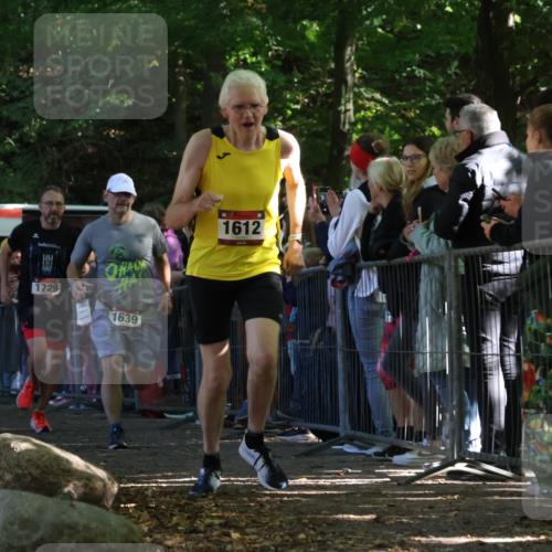 28.09.2025 - 33. Volkslauf durch das schöne Alstertal Strokosch-Dieckow http://msf.ph/oto/8972319 28.09.2025 11:56:05 Ziel 1612, 1639, 1729 meine-sportfotos.de