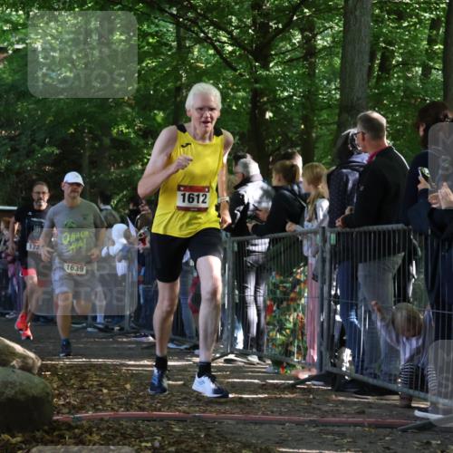 28.09.2025 - 33. Volkslauf durch das schöne Alstertal Strokosch-Dieckow http://msf.ph/oto/8972320 28.09.2025 11:56:05 Ziel 1612, 1639, 1729 meine-sportfotos.de