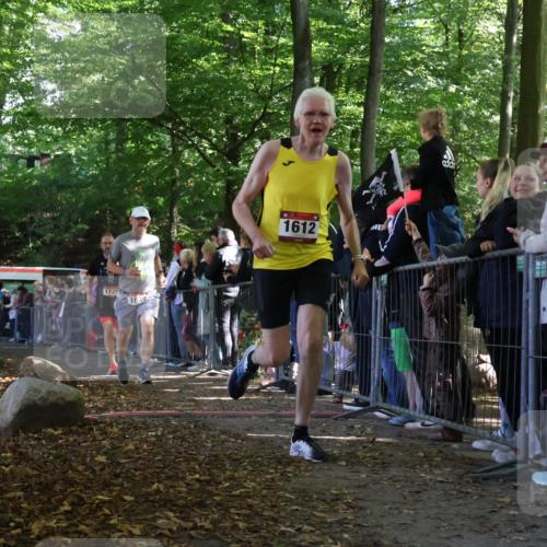 28.09.2025 - 33. Volkslauf durch das schöne Alstertal Strokosch-Dieckow http://msf.ph/oto/8972321 28.09.2025 11:56:06 Ziel 1612, 1625, 1639, 1729 meine-sportfotos.de