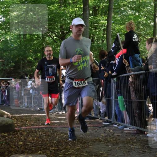 28.09.2025 - 33. Volkslauf durch das schöne Alstertal Strokosch-Dieckow http://msf.ph/oto/8972323 28.09.2025 11:56:07 Ziel 1612, 1625, 1639, 1729, 3084, 3085 meine-sportfotos.de