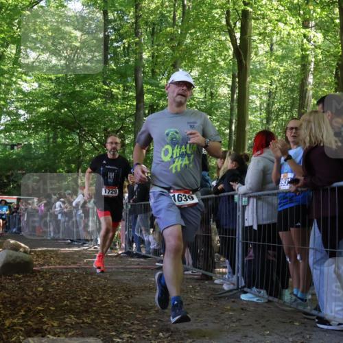 28.09.2025 - 33. Volkslauf durch das schöne Alstertal Strokosch-Dieckow http://msf.ph/oto/8972324 28.09.2025 11:56:08 Ziel 1625, 1639, 1729, 3084, 3085 meine-sportfotos.de
