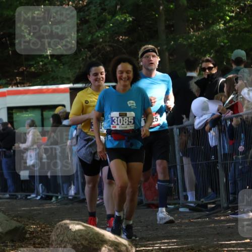 28.09.2025 - 33. Volkslauf durch das schöne Alstertal Strokosch-Dieckow http://msf.ph/oto/8972329 28.09.2025 11:56:12 Ziel 1625, 3084, 3085 meine-sportfotos.de
