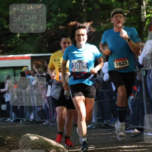 28.09.2025 - 33. Volkslauf durch das schöne Alstertal Strokosch-Dieckow http://msf.ph/oto/8972330 28.09.2025 11:56:13 Ziel 1625, 1653, 3084, 3085 meine-sportfotos.de