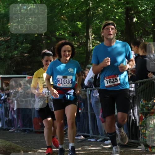 28.09.2025 - 33. Volkslauf durch das schöne Alstertal Strokosch-Dieckow http://msf.ph/oto/8972331 28.09.2025 11:56:14 Ziel 1625, 1653, 3084, 3085 meine-sportfotos.de