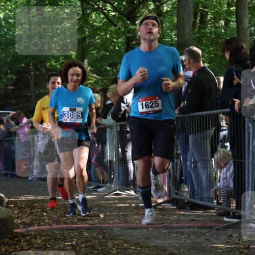 28.09.2025 - 33. Volkslauf durch das schöne Alstertal Strokosch-Dieckow http://msf.ph/oto/8972332 28.09.2025 11:56:15 Ziel 1625, 1653, 3084, 3085 meine-sportfotos.de
