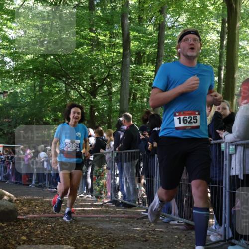 28.09.2025 - 33. Volkslauf durch das schöne Alstertal Strokosch-Dieckow http://msf.ph/oto/8972334 28.09.2025 11:56:16 Ziel 1625, 1653, 2475, 3084, 3085 meine-sportfotos.de