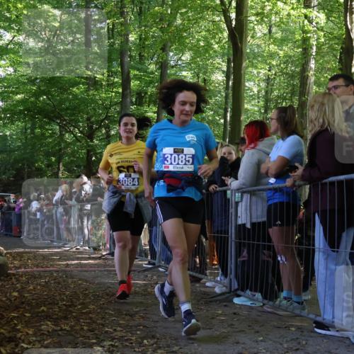 28.09.2025 - 33. Volkslauf durch das schöne Alstertal Strokosch-Dieckow http://msf.ph/oto/8972336 28.09.2025 11:56:17 Ziel 1653, 1770, 2475, 3084, 3085 meine-sportfotos.de