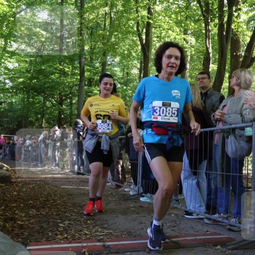 28.09.2025 - 33. Volkslauf durch das schöne Alstertal Strokosch-Dieckow http://msf.ph/oto/8972337 28.09.2025 11:56:18 Ziel 1653, 1770, 2475 meine-sportfotos.de