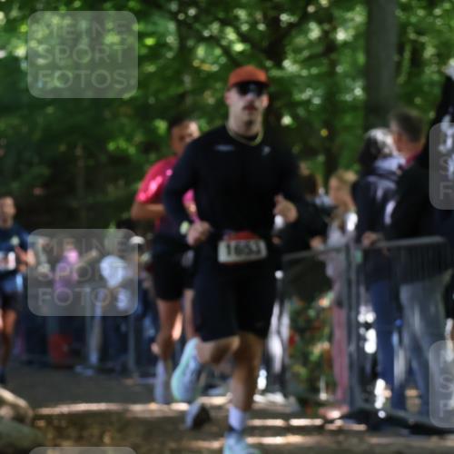 28.09.2025 - 33. Volkslauf durch das schöne Alstertal Strokosch-Dieckow http://msf.ph/oto/8972341 28.09.2025 11:56:22 Ziel 1653, 1665, 1770, 2475 meine-sportfotos.de