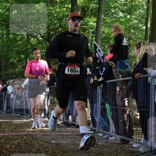 28.09.2025 - 33. Volkslauf durch das schöne Alstertal Strokosch-Dieckow http://msf.ph/oto/8972342 28.09.2025 11:56:22 Ziel 1653, 1665, 1770, 2475 meine-sportfotos.de