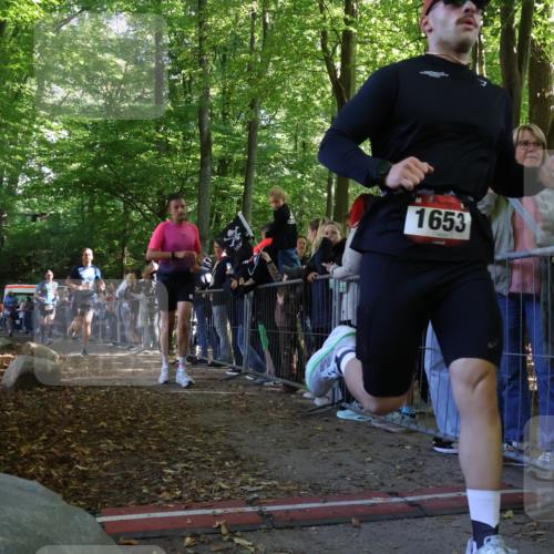 28.09.2025 - 33. Volkslauf durch das schöne Alstertal Strokosch-Dieckow http://msf.ph/oto/8972344 28.09.2025 11:56:23 Ziel 1653, 1665, 1770, 2475 meine-sportfotos.de