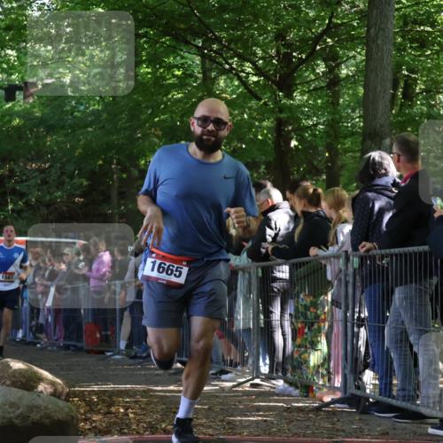 28.09.2025 - 33. Volkslauf durch das schöne Alstertal Strokosch-Dieckow http://msf.ph/oto/8972352 28.09.2025 11:56:29 Ziel 1587, 1665 meine-sportfotos.de
