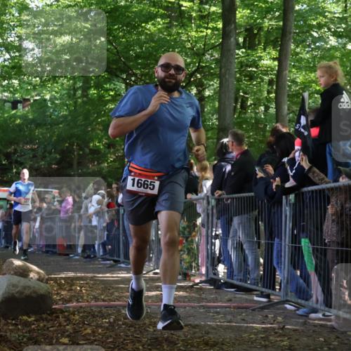 28.09.2025 - 33. Volkslauf durch das schöne Alstertal Strokosch-Dieckow http://msf.ph/oto/8972353 28.09.2025 11:56:29 Ziel 1587, 1665 meine-sportfotos.de