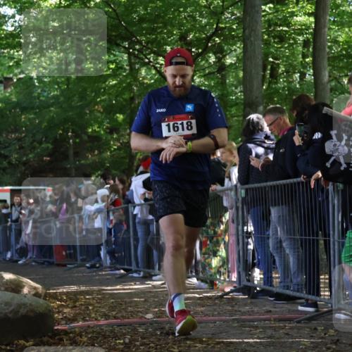 28.09.2025 - 33. Volkslauf durch das schöne Alstertal Strokosch-Dieckow http://msf.ph/oto/8972364 28.09.2025 11:56:45 Ziel 1618, 1633 meine-sportfotos.de